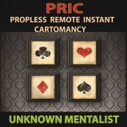 PRIC: Propless Remote Instant Cartomancy