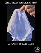 Card from Handkerchief by Dustin Marks