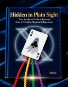 Hidden in Plain Sight by Mago Marko