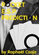 Pocket ESP Prediction by Raphaël Czaja