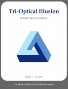Tri-Optical Illusion by Scott F. Guinn